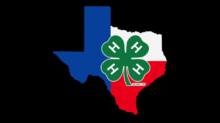 2017 Texas 4H Round-Up Thursday Night